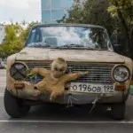 Саша 5tep5 – Субкультуры 6