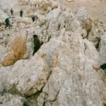 Макар Терёшин – Дагестан 4