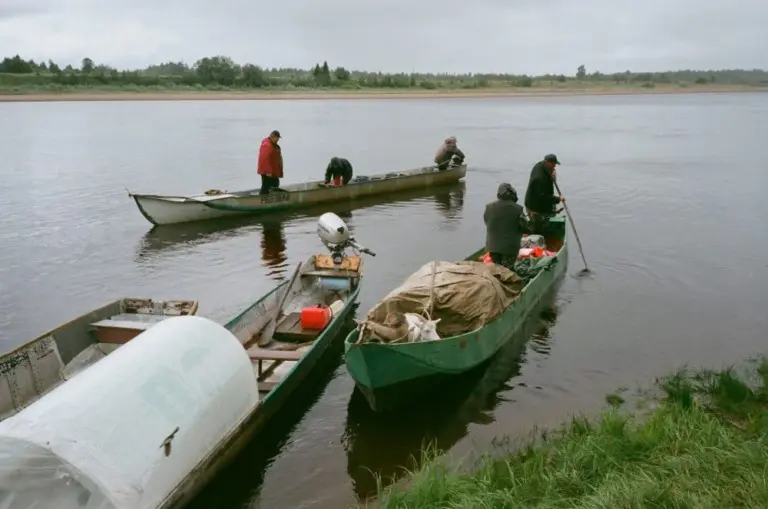 Макар Терёшин – Поля падения 6