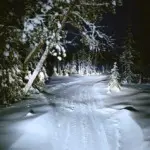 Макар Терёшин – Поля падения 7