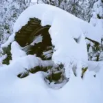 Макар Терёшин – Поля падения 9