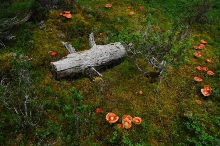 Анна Monkandmoss – Места 11