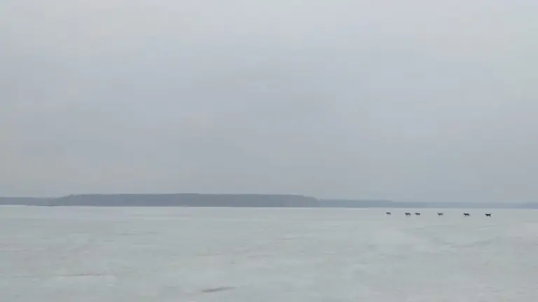 Анна Monkandmoss – Места 22