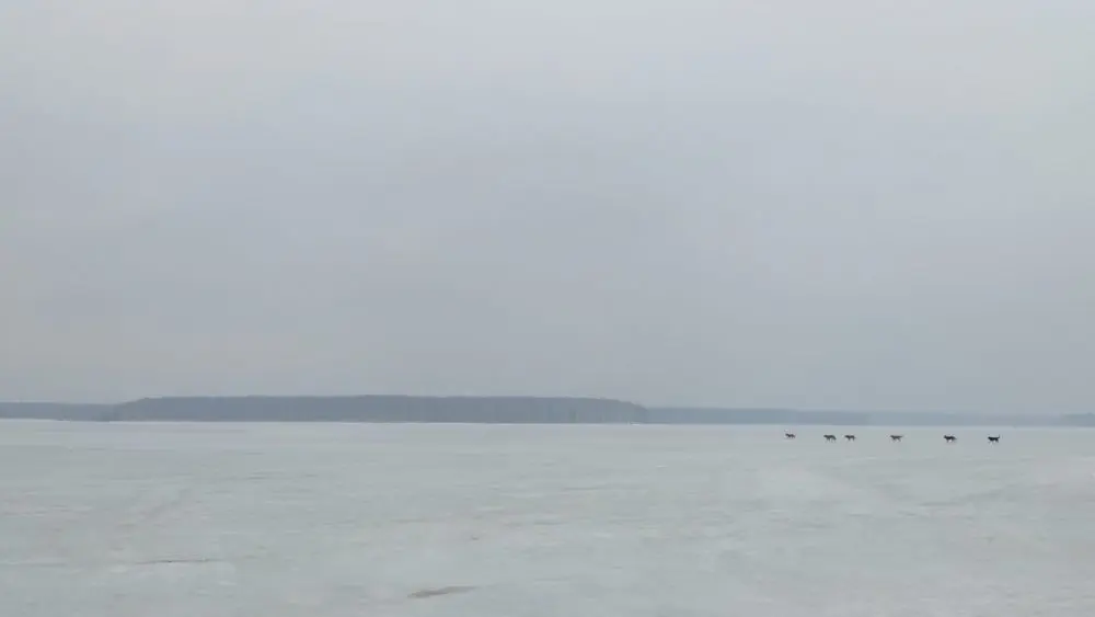 Места 22 Анна Monkandmoss – Места 22