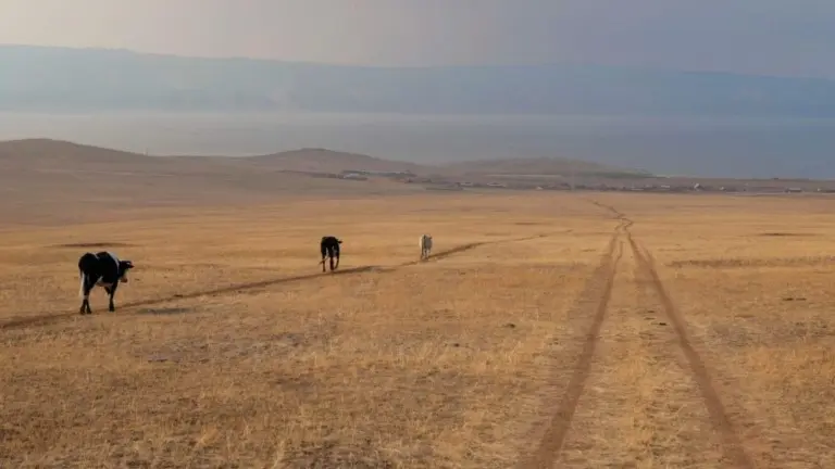 Анна Monkandmoss – Места 28