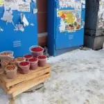 Анна Monkandmoss – Места 30