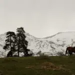 Анна Monkandmoss – Места 39