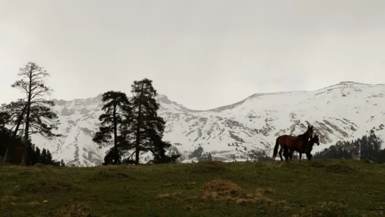 Анна Monkandmoss – Места 39