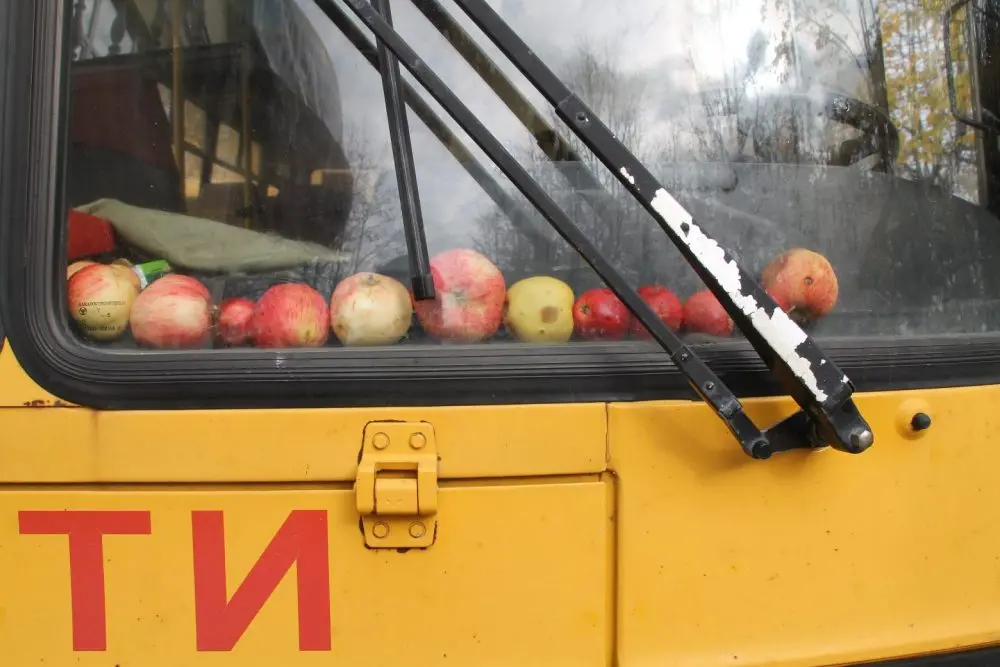 Места 47 Анна Monkandmoss – Места 47