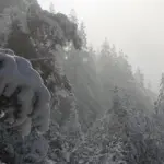 Анна Monkandmoss – Места 49