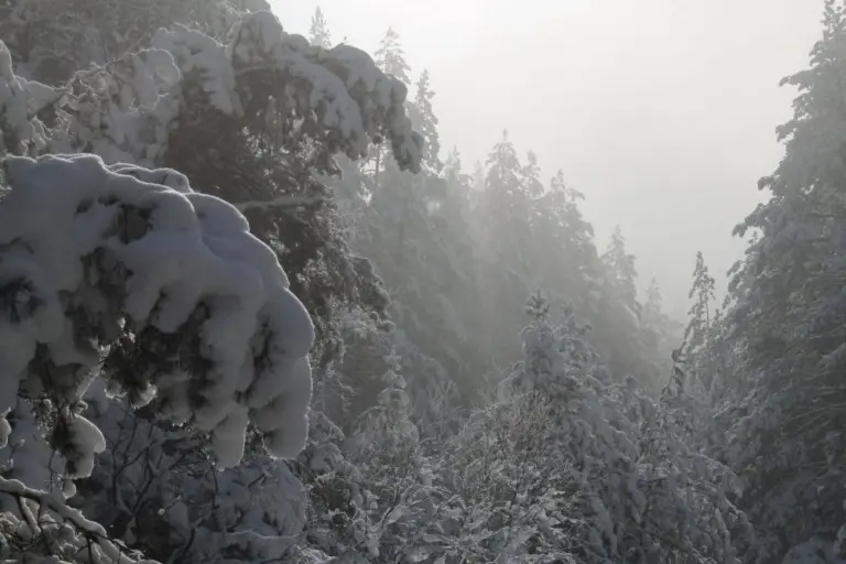 Анна Monkandmoss – Места 49