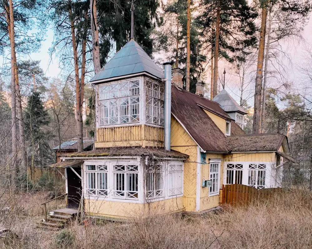 Фёдор Савинцев – Кратовские дачи 19