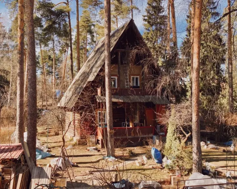 Фёдор Савинцев – Кратовские дачи 21