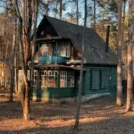 Фёдор Савинцев – Кратовские дачи 3