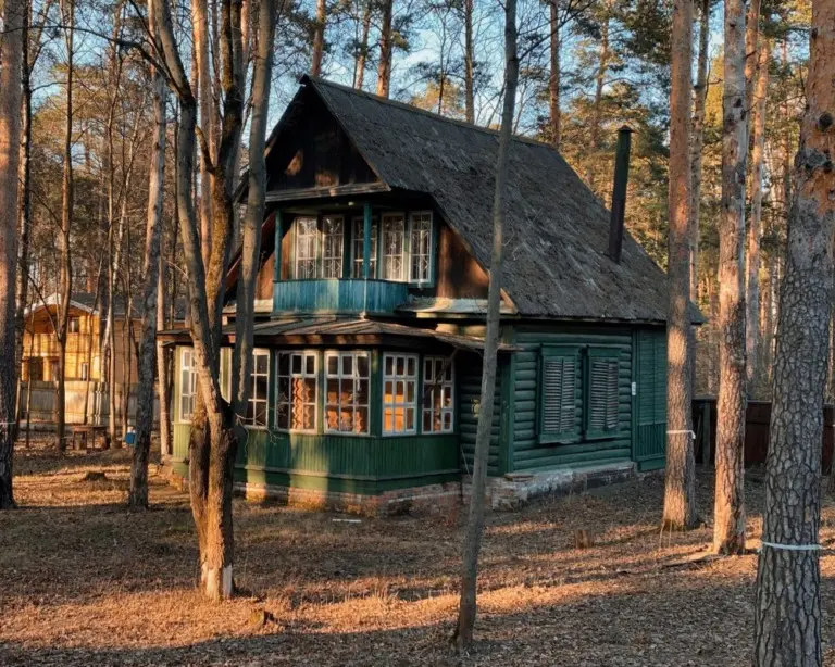 Фёдор Савинцев – Кратовские дачи 3