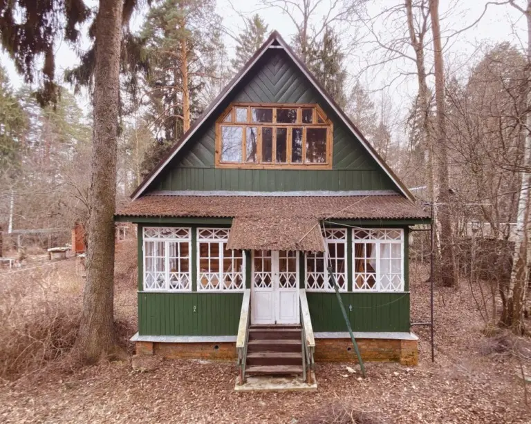 Фёдор Савинцев – Кратовские дачи 4