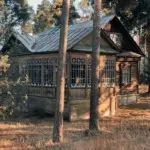 Фёдор Савинцев – Кратовские дачи 6