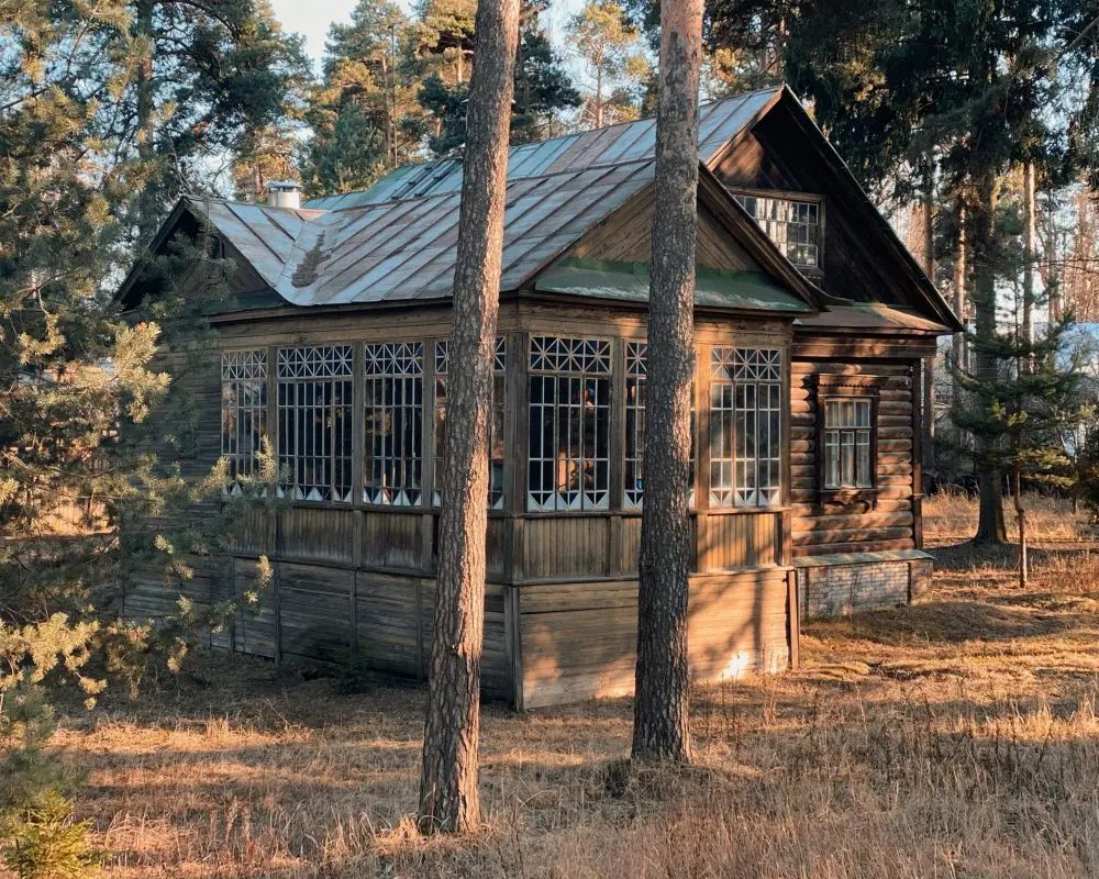 Кратовские дачи 6 Фёдор Савинцев – Кратовские дачи 6