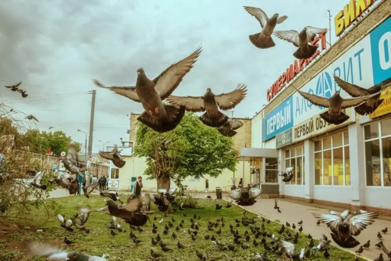 Константин Вихров – Светлый альбом 10