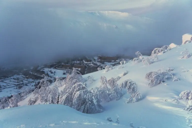 Константин Вихров – Светлый альбом 51