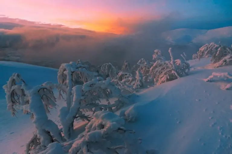 Константин Вихров – Светлый альбом 52