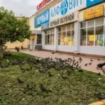 Константин Вихров – Светлый альбом 8