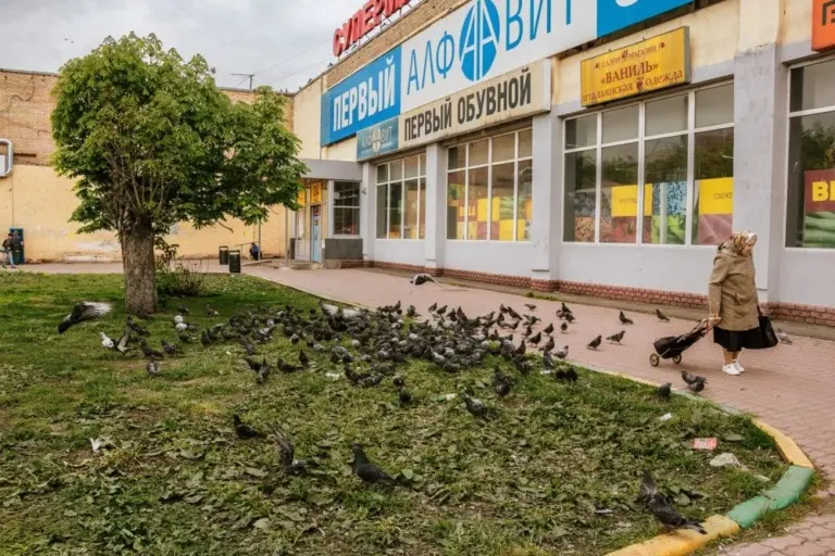 Константин Вихров – Светлый альбом 8