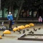 Константин Вихров – Светлый альбом 9