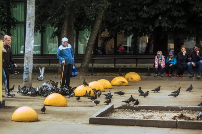 Константин Вихров – Светлый альбом 9