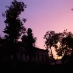 Константин Вихров – Тёмный альбом 54