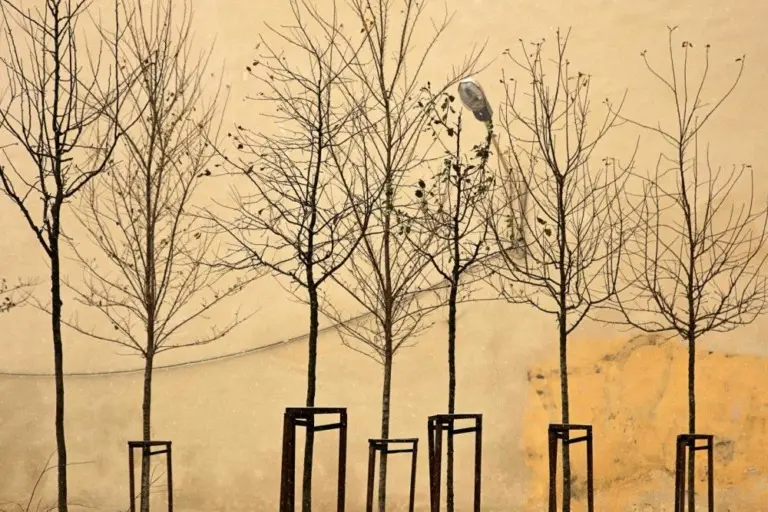 Вивиан Дель Рио – Москва 5