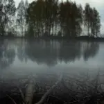 Янина Болдырева – Бортовой журнал 10