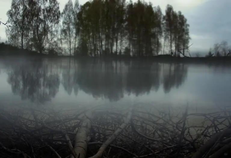 Янина Болдырева – Бортовой журнал 10