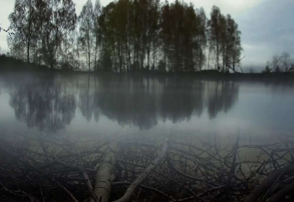 Бортовой журнал 10 Янина Болдырева – Бортовой журнал 10