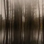 Янина Болдырева – Бортовой журнал 14