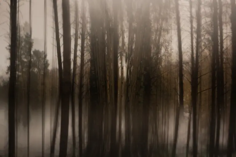 Янина Болдырева – Бортовой журнал 14