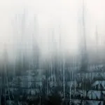 Янина Болдырева – Бортовой журнал 15