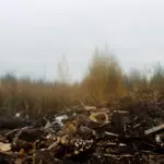 Янина Болдырева – Бортовой журнал 17