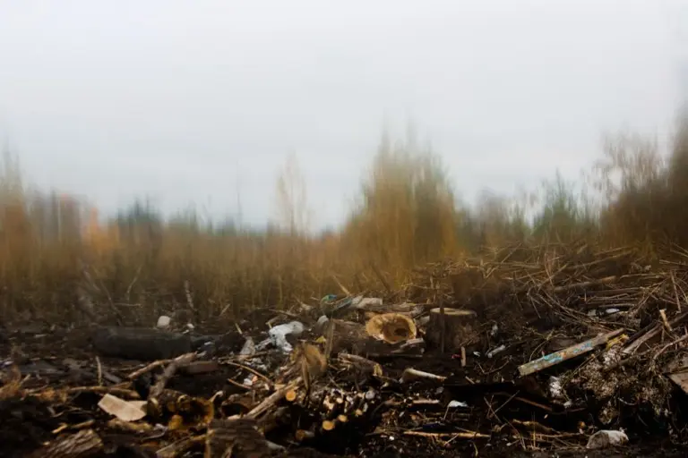 Янина Болдырева – Бортовой журнал 17