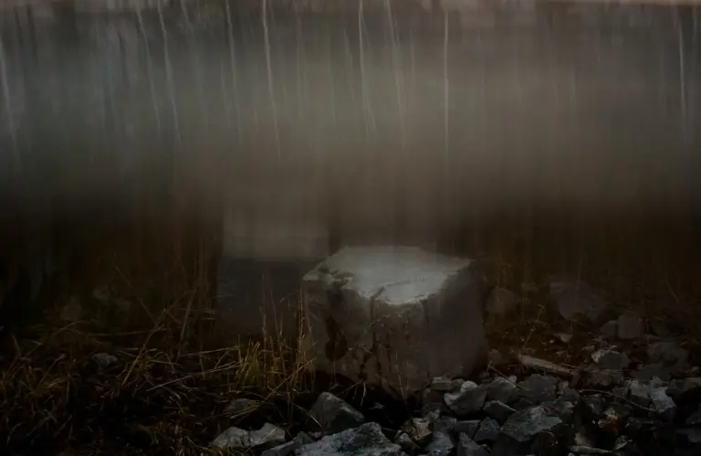 Янина Болдырева – Бортовой журнал 18