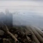 Янина Болдырева – Бортовой журнал 20