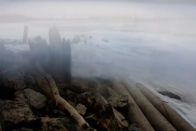 Янина Болдырева – Бортовой журнал 20