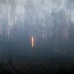 Янина Болдырева – Бортовой журнал 23