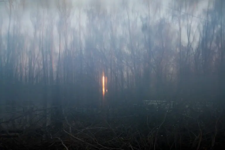 Янина Болдырева – Бортовой журнал 23