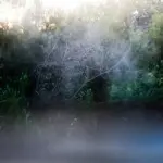 Янина Болдырева – Бортовой журнал 25