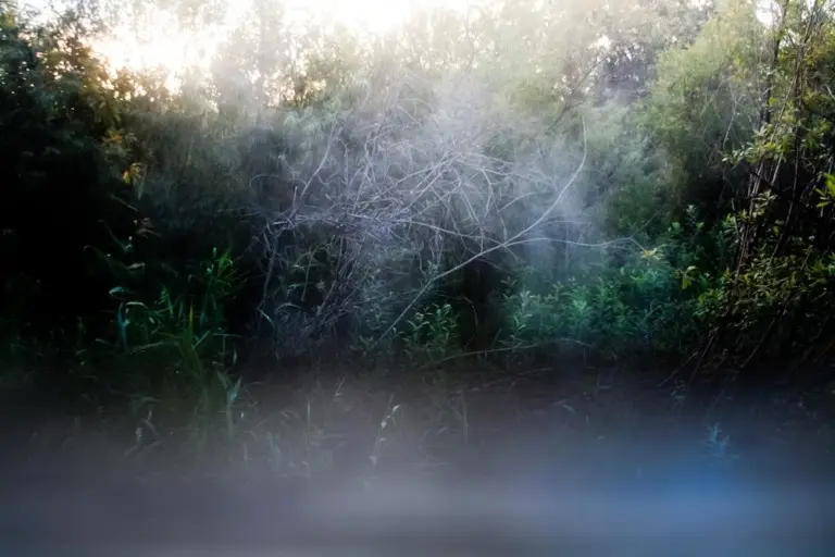 Янина Болдырева – Бортовой журнал 25