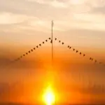 Янина Болдырева – Бортовой журнал 27