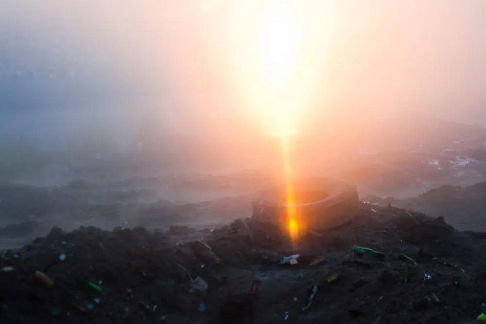 Бортовой журнал 29 Янина Болдырева – Бортовой журнал 29