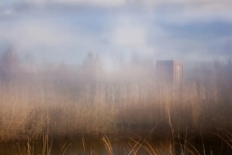 Янина Болдырева – Бортовой журнал 30