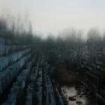 Янина Болдырева – Бортовой журнал 31